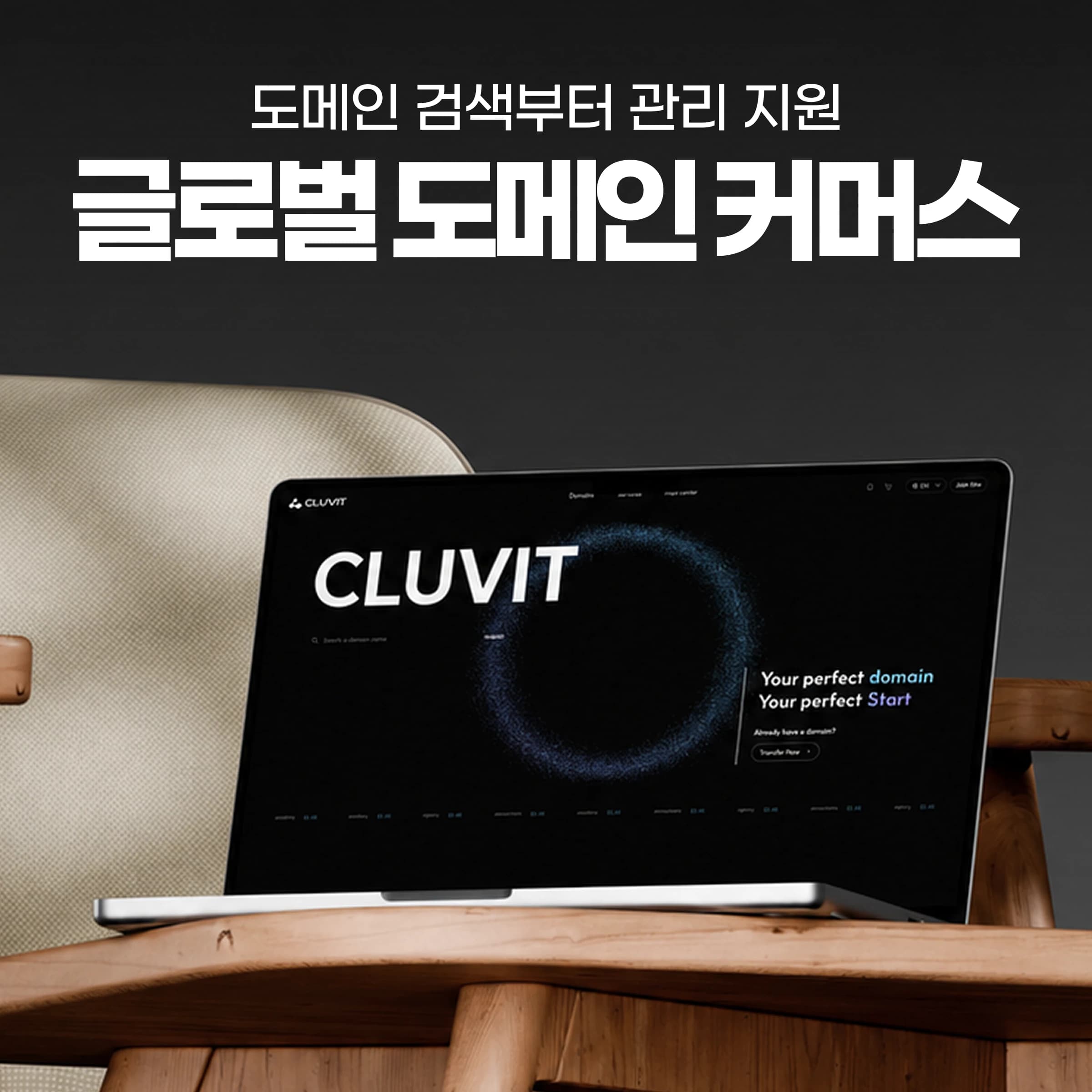 도메인 등록·거래·관리 플랫폼 프론트엔드 재구축 (SaaS·솔루션, 도메인 관리, 결제, 관리자 시스템, 다국어, FSD 아키텍처) | Cluvit 프로젝트 썸네일